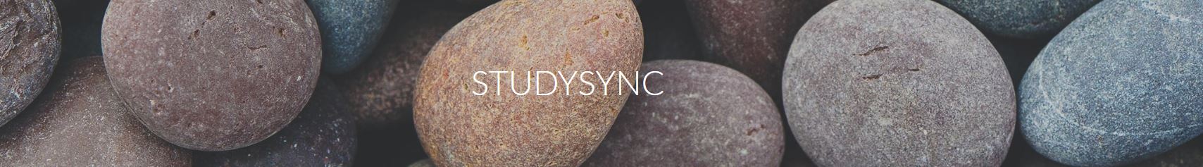 studysync