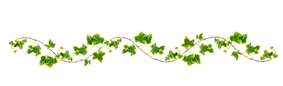 green ivy vine