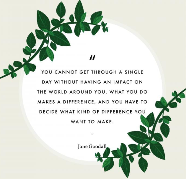 "you cannot get through a single day without having an impact on the world around you.  What you do makes a difference, and you have to decide what kind of difference you want to make."
