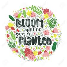Flower logo; Quote: Bloom Where You're Planted