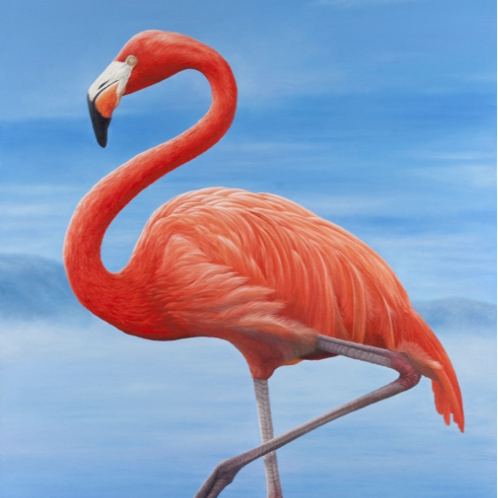a flamingo on a blue background