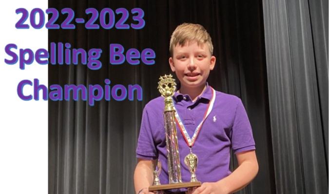 bee champ