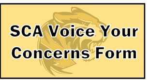 voice concern