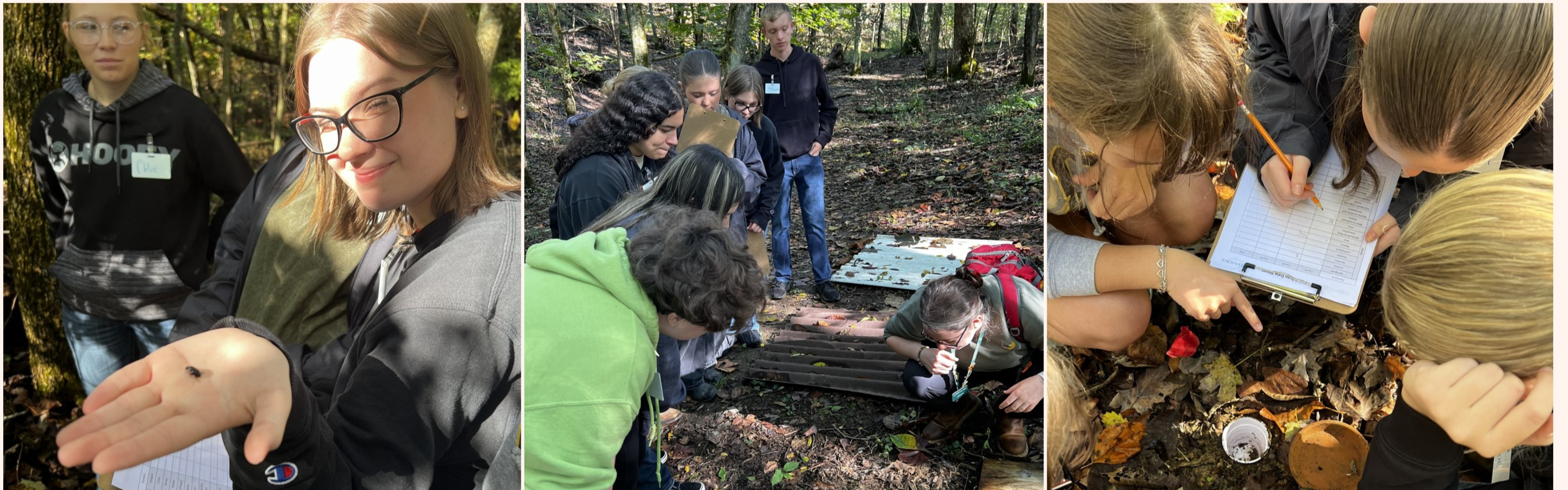 Thanks to Greenacres for hosting Environmental Science and Chemistry students ! They got to practice collecting data on local invertebrate populations and presenting their findings with each other. 🕷️🐜 #IgniteInspireInstill