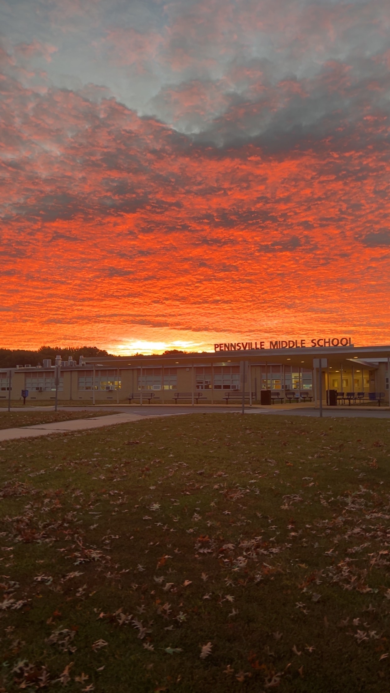 fall pvms