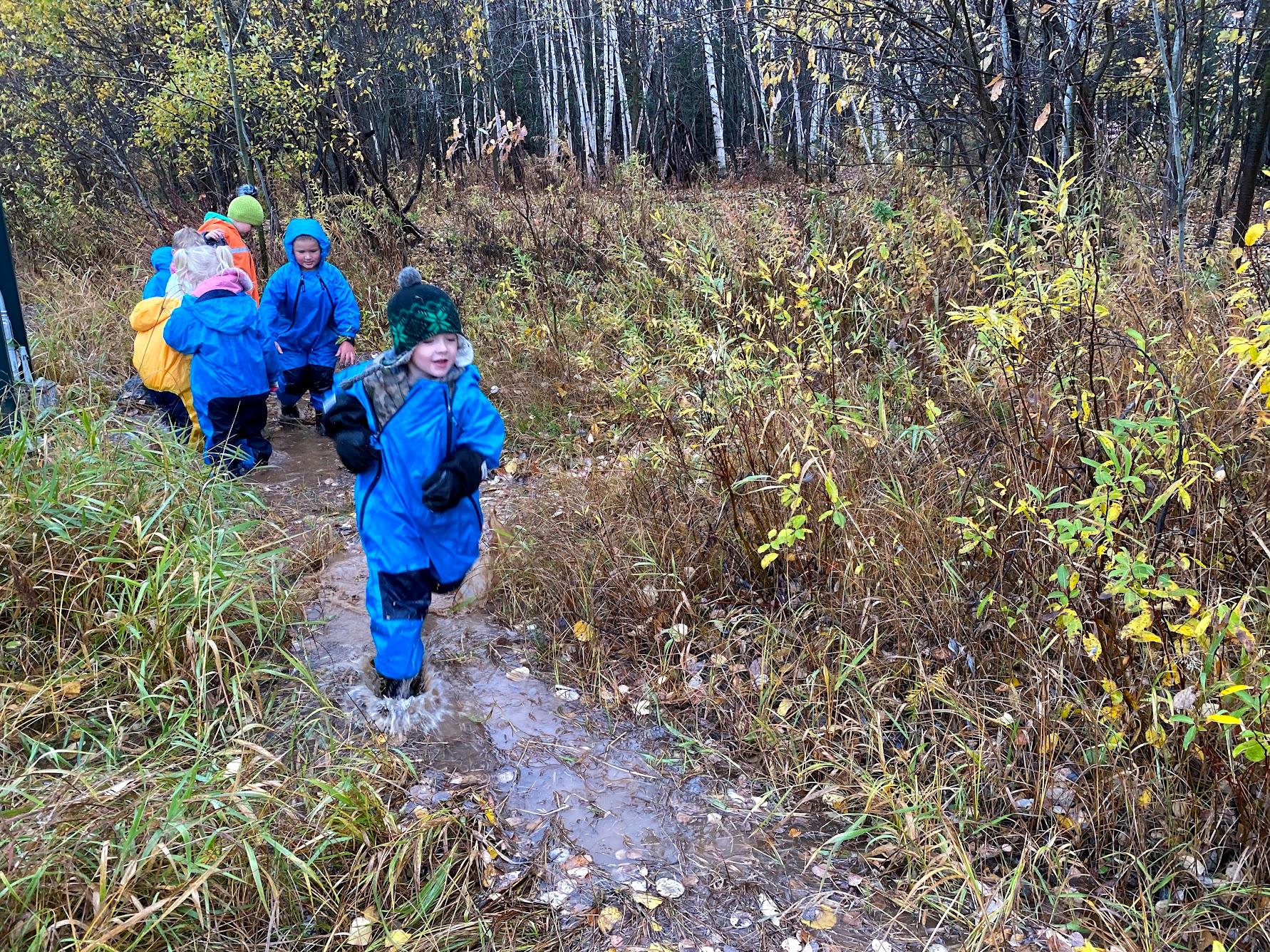 preschool in the school forest