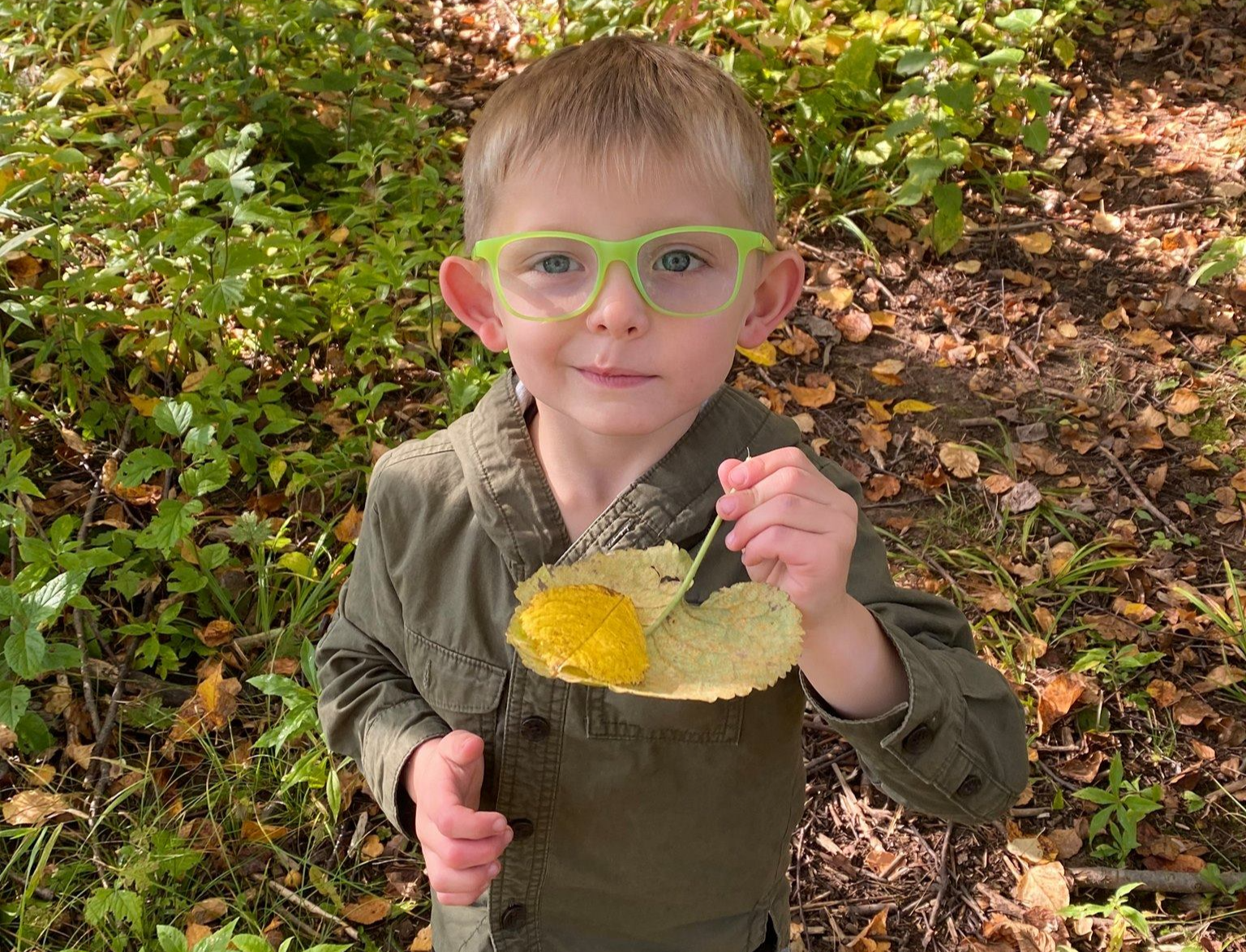 boy holding leaf