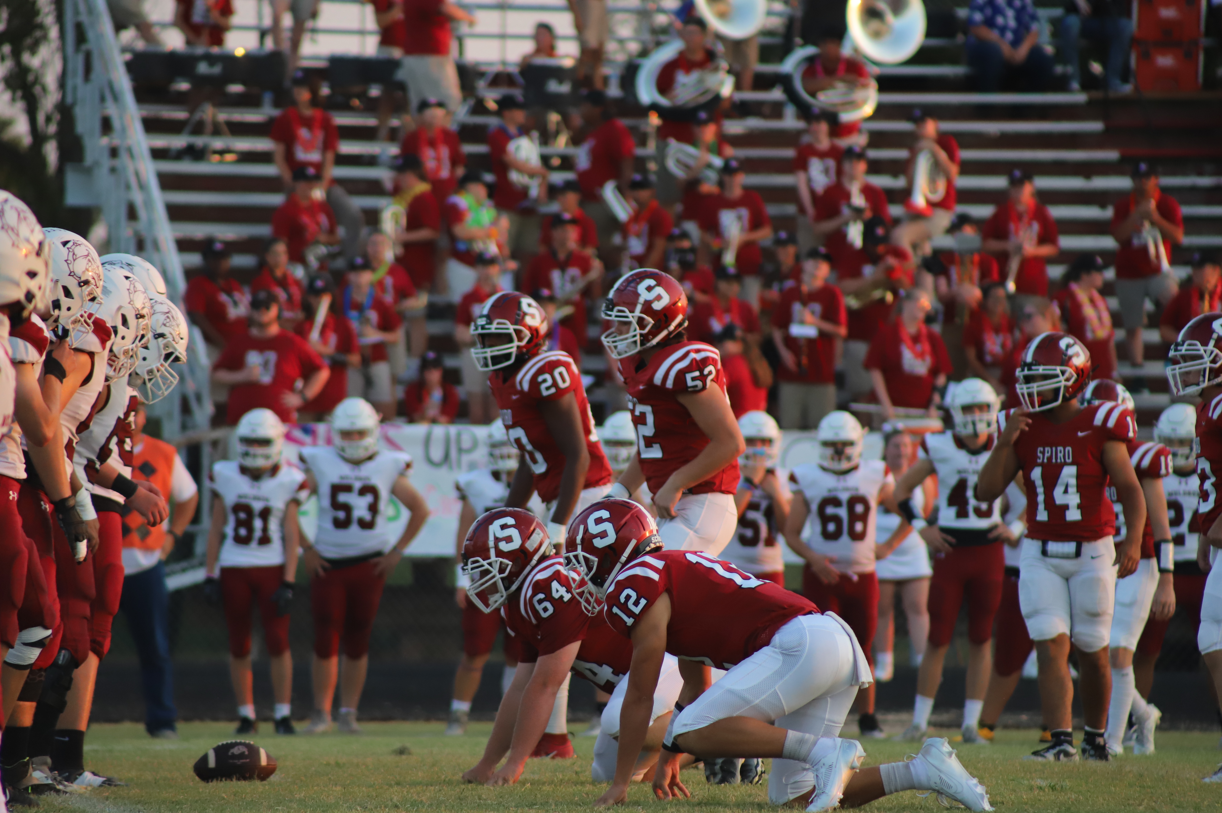 bulldogs