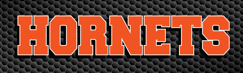 Advance Hornet HS bottomWindows Hornets-01.png