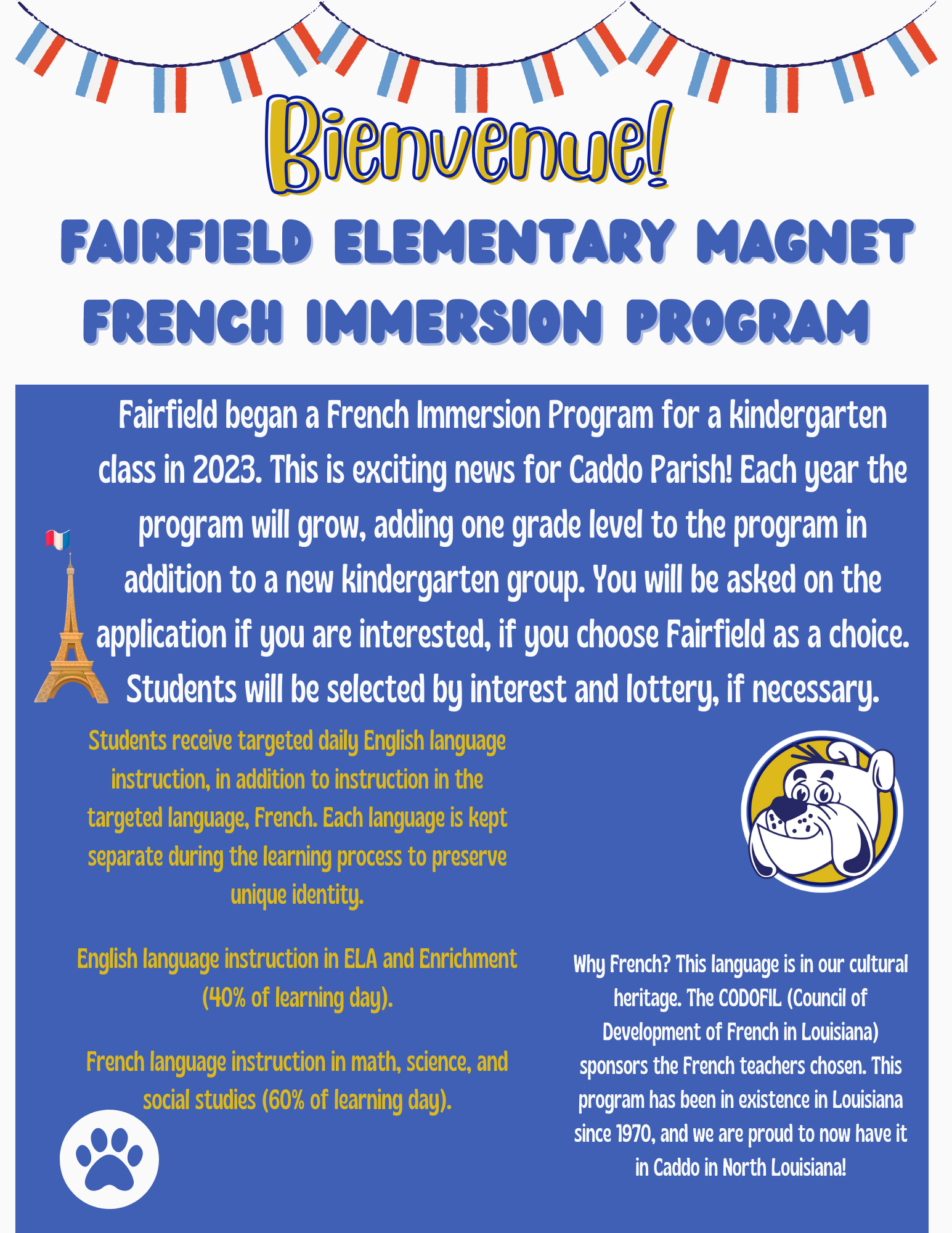 Elementary on sale magnet schools