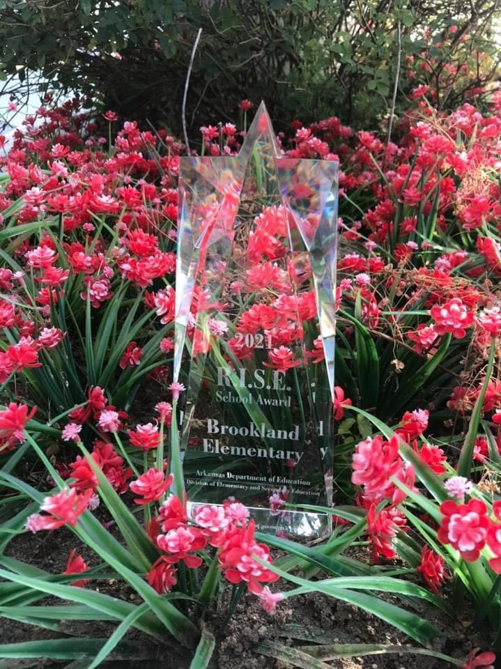 RISE award