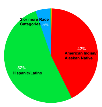 School Demographics pie chart