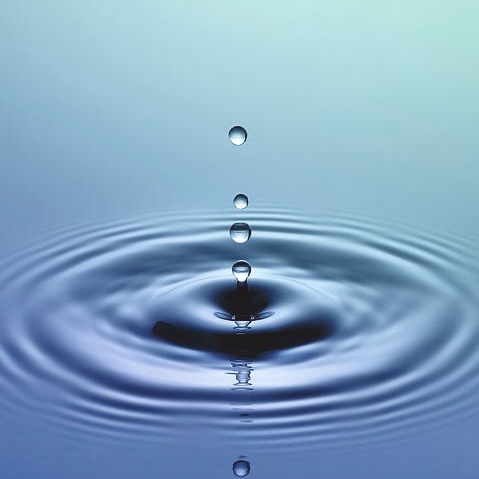 Meditation & Mindfulness