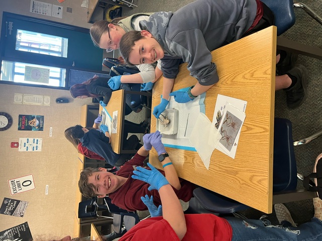 students dissecting frogs