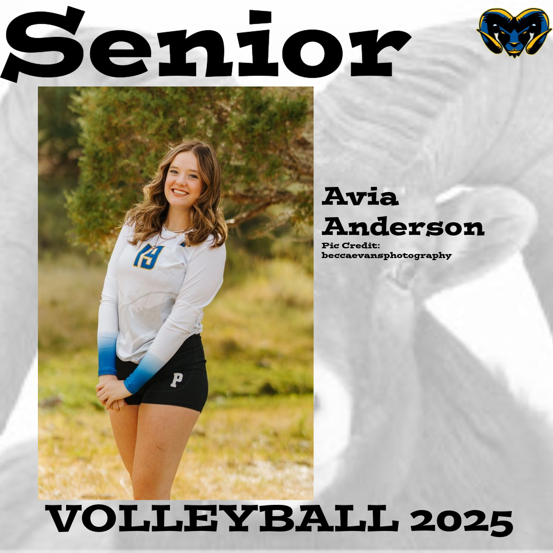 Volleyball Team 3