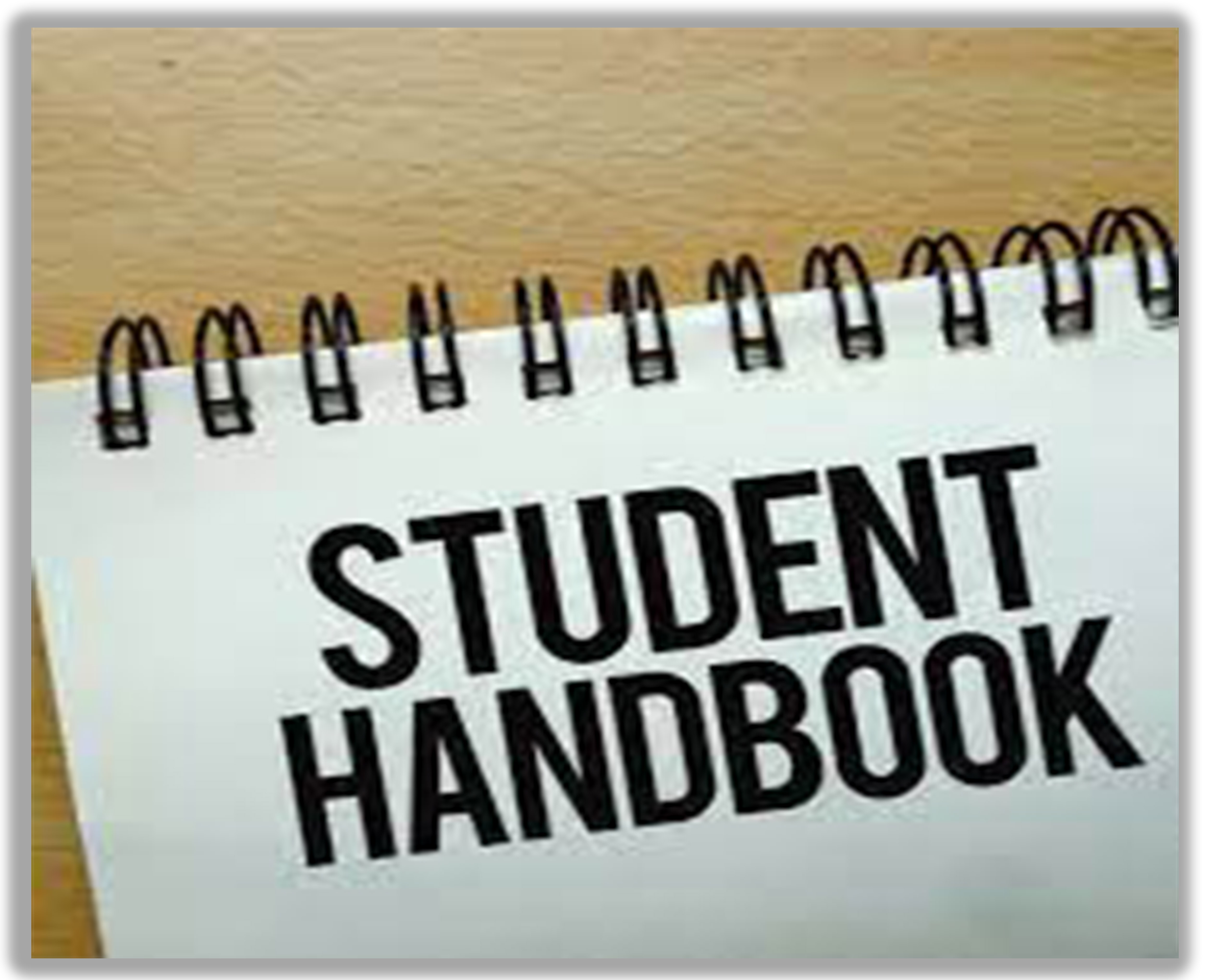 Student Handbooks La Villa ISD