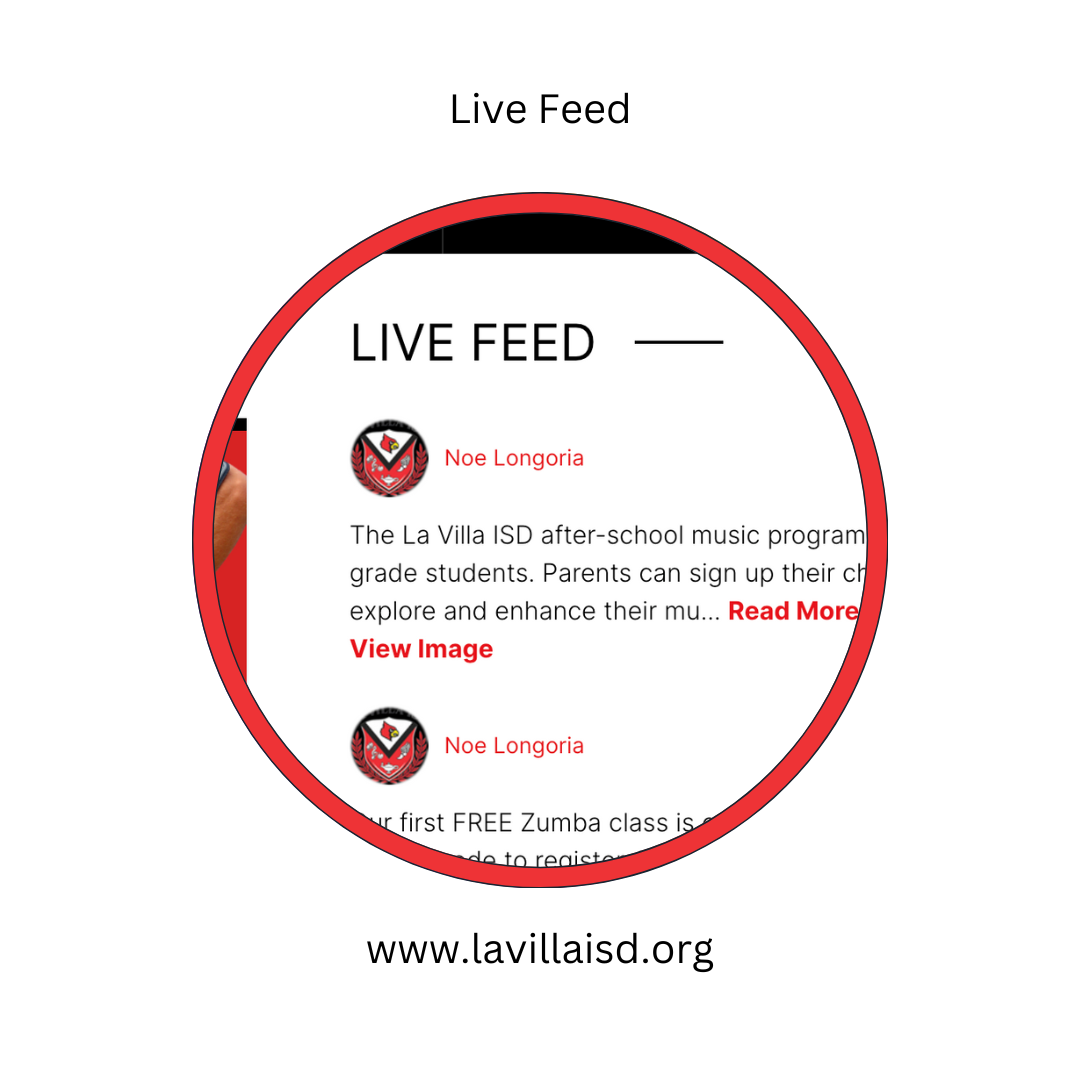 la villa live feed logo