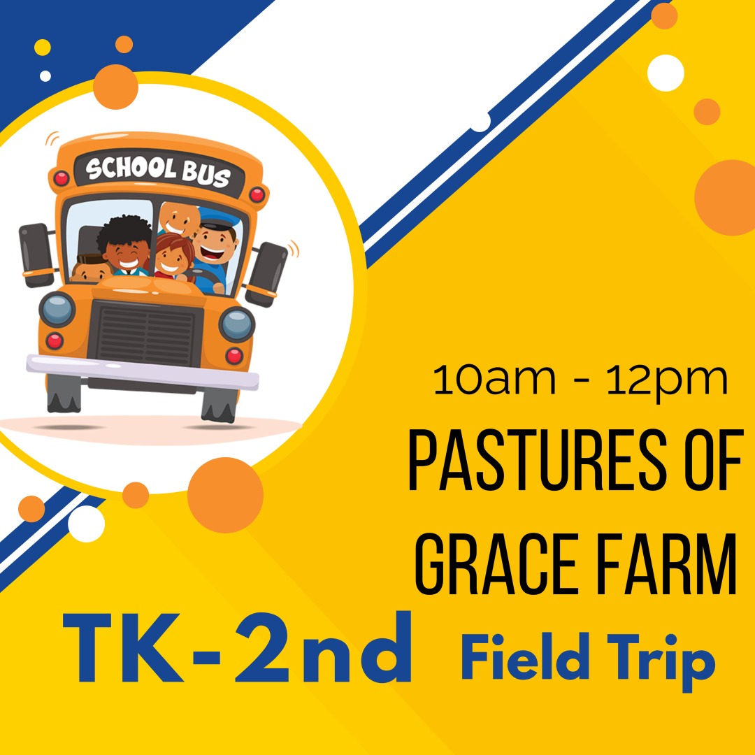 Field Trip
