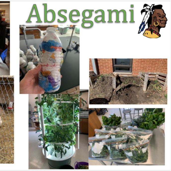Greater Egg Sustainability