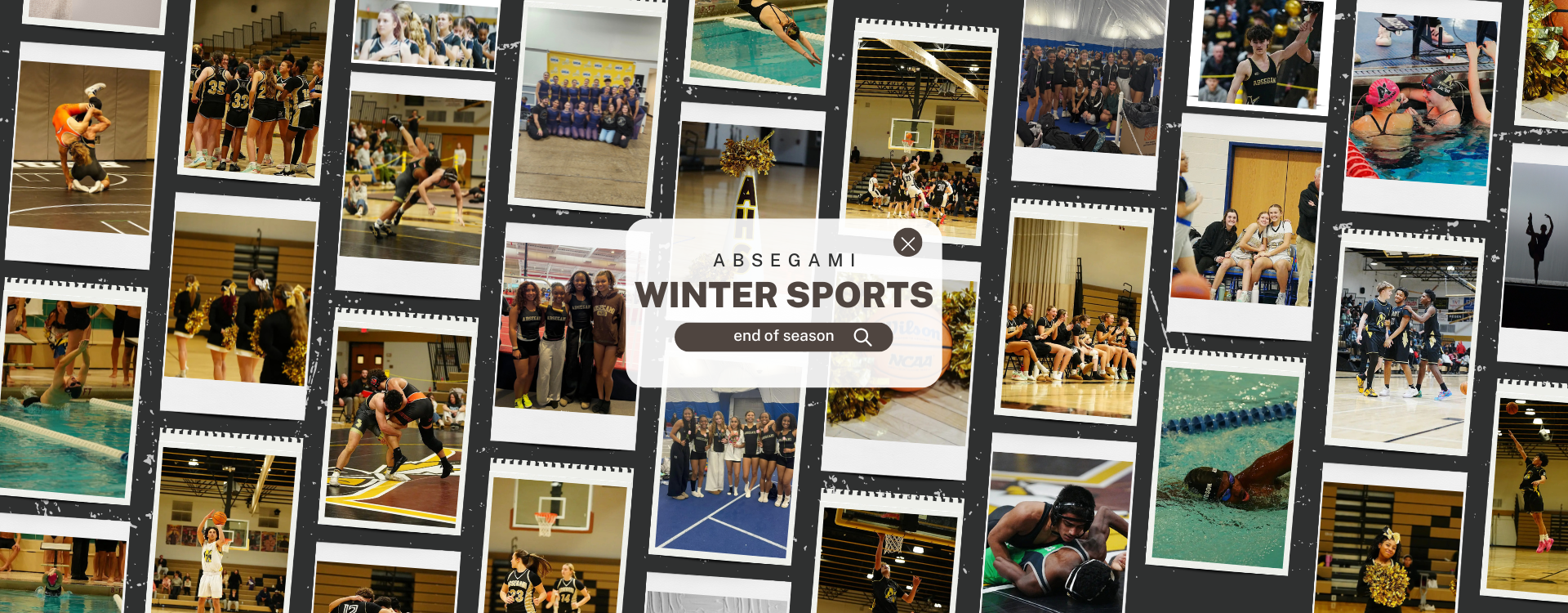 collage of winter sports