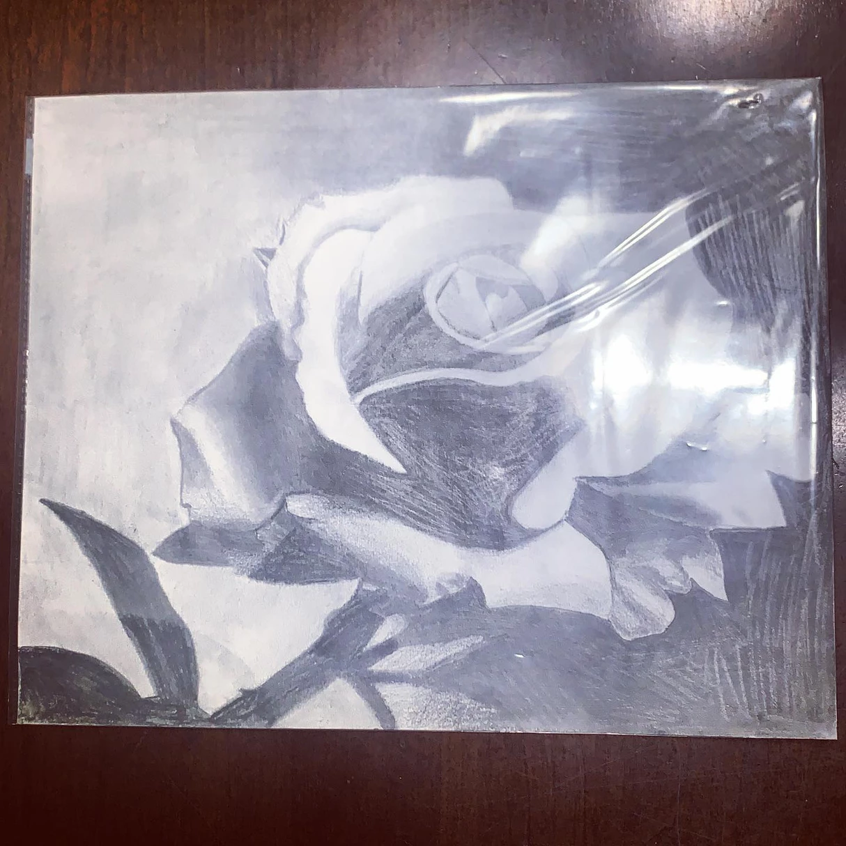 Letters for Rose