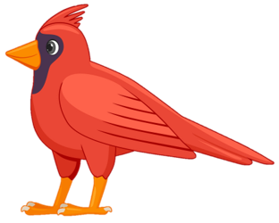 cardinal