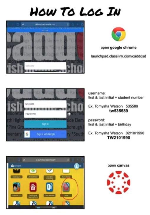 LOG IN TO CANVAS visual data 5