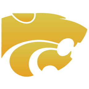 Wildcat