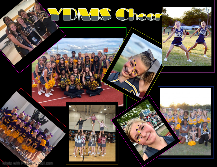 YDMS Cheer
