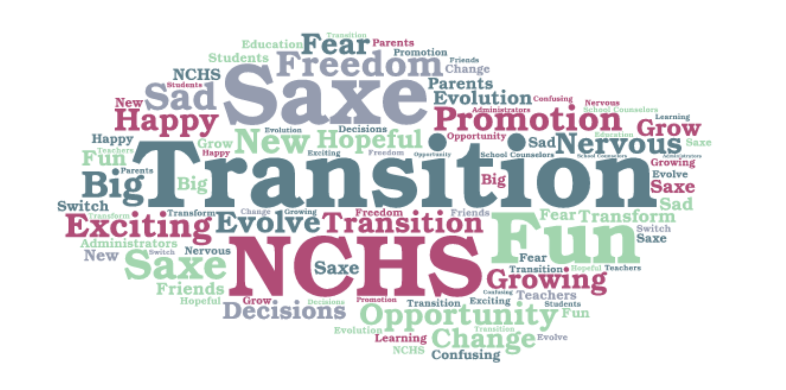Saxe Transition Word Cloud