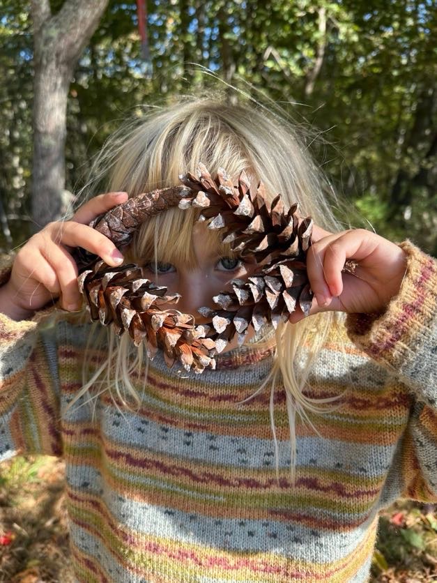 pinecones
