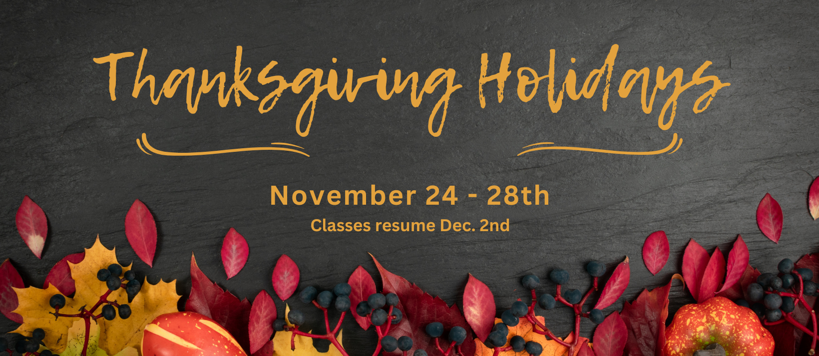 Thanksgiving Holidays Nov 24-28 picture