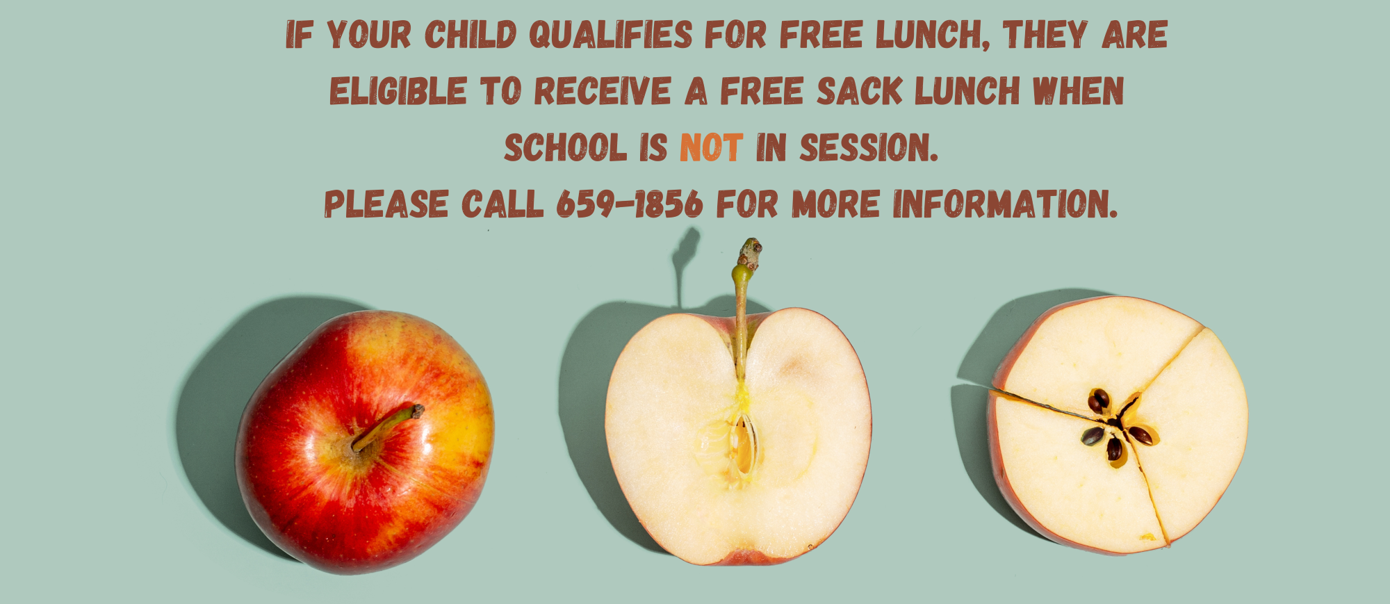 If you are eligible for free lunch, you can get a sack lunch on the day school is closed