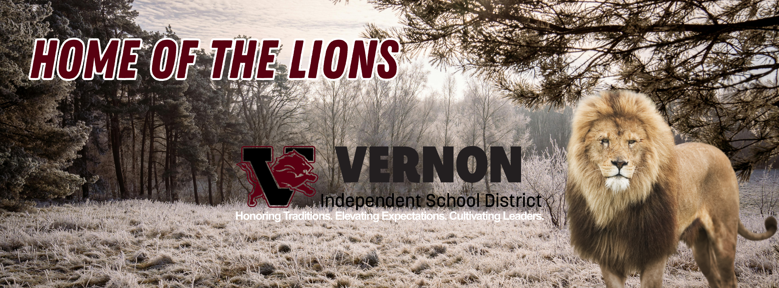 winter slide district 2026