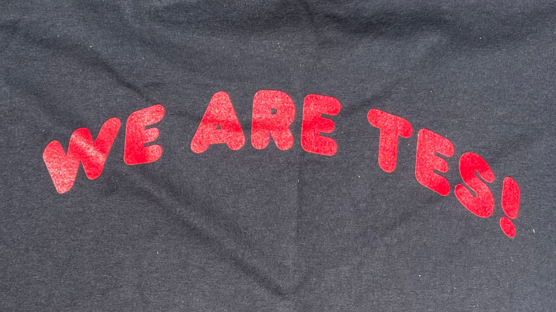 We are TES