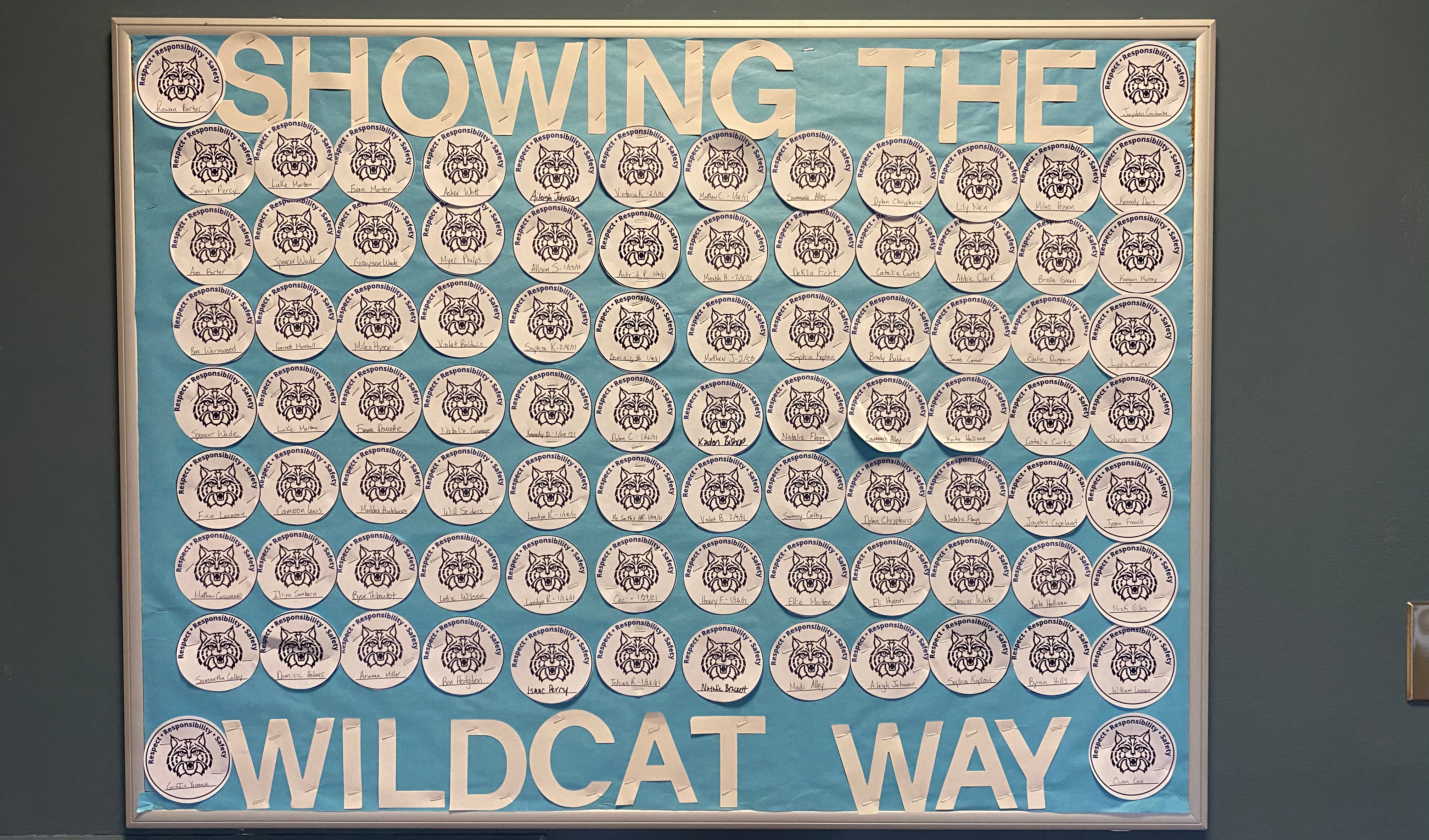 wildcat way