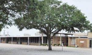 Pictorial History of Dozier Elementary's Campus