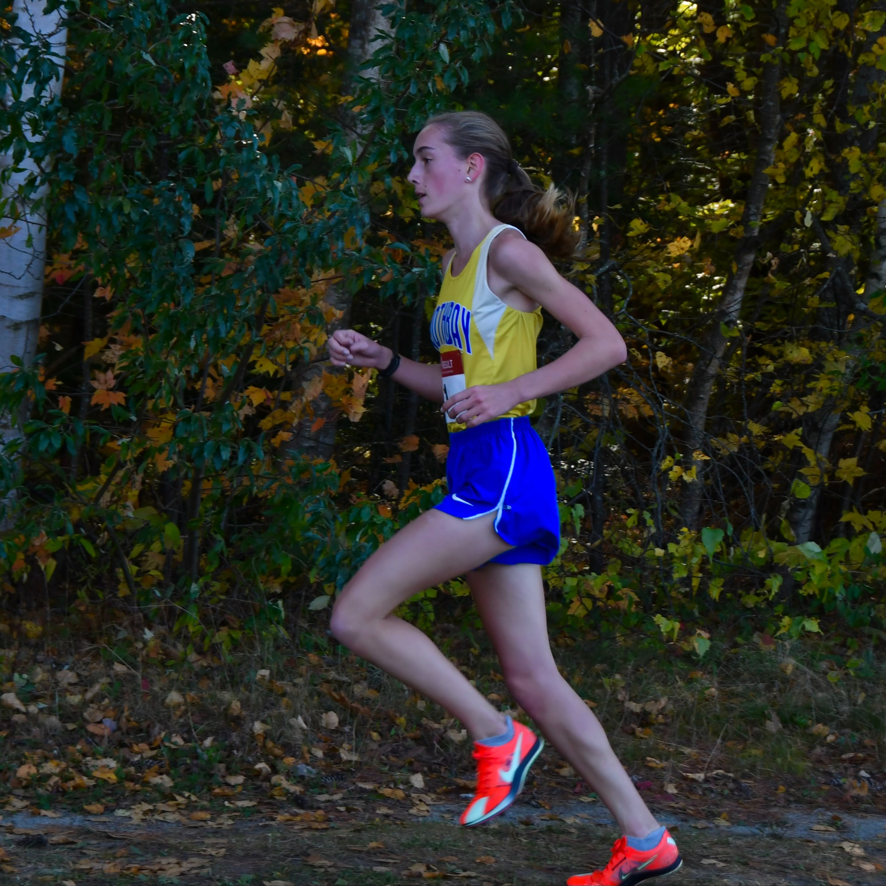 Karen Higgins running