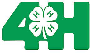 4-H Logo