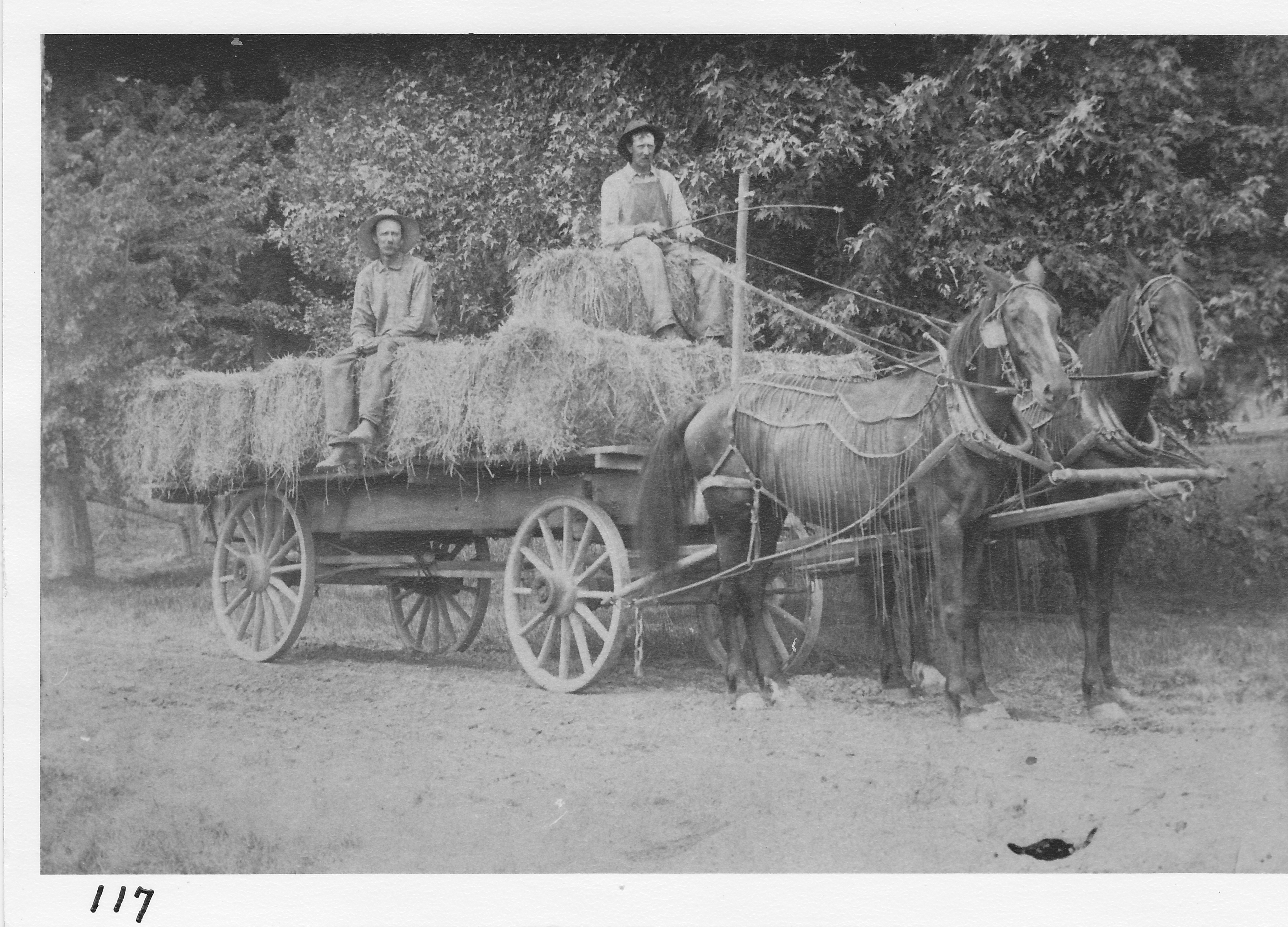 Old style wagon with load of hay.