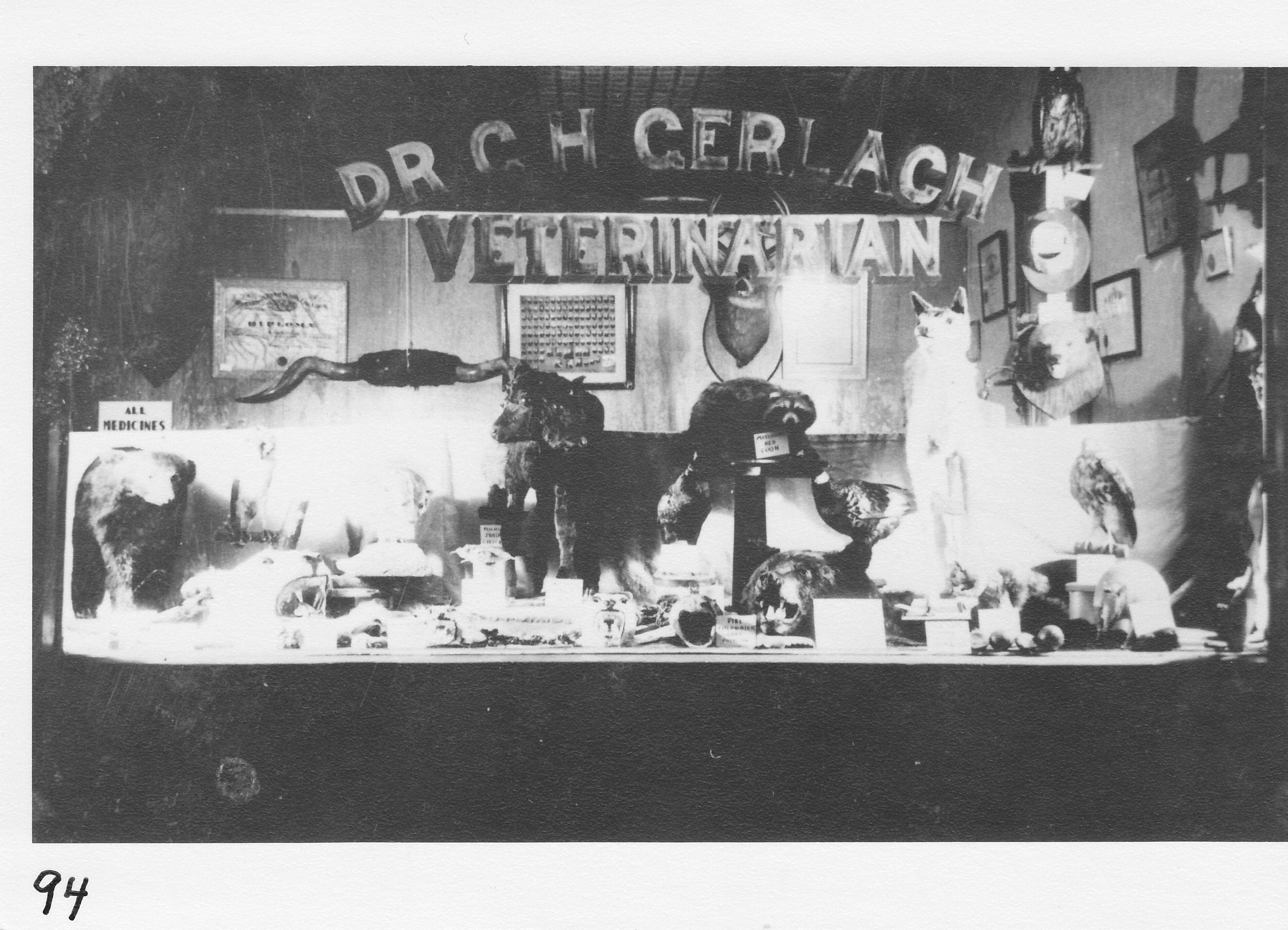 Dr. G. H. Gerlach’s veterinary offices, the west side of North Street (IOOF Building).  Window display. Later the Dunbar furniture and auction business.