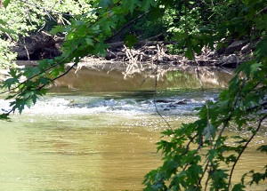 Riverside Nature Park
