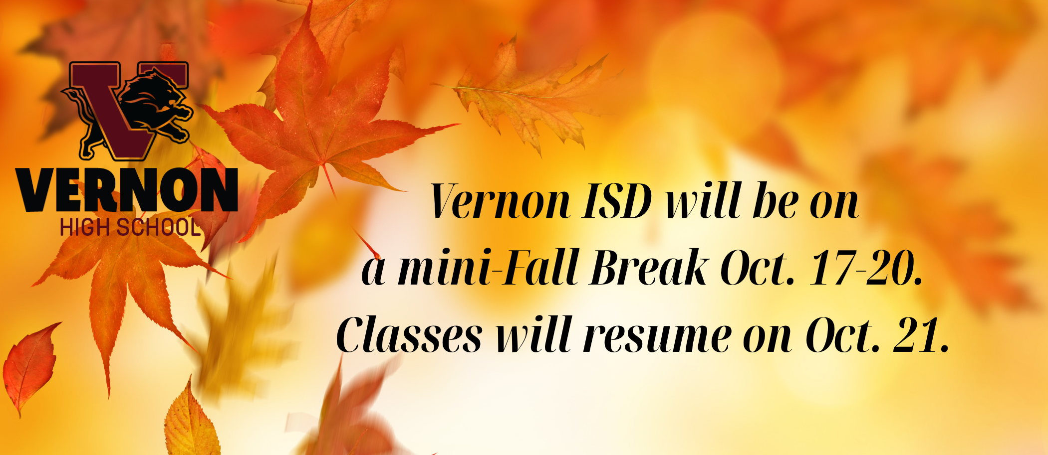 vhs fall break