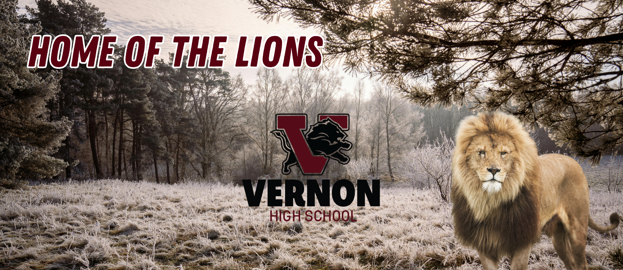 vhs winter slide 2026