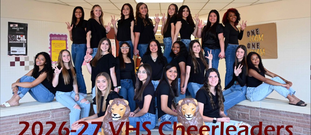 vhs cheer group