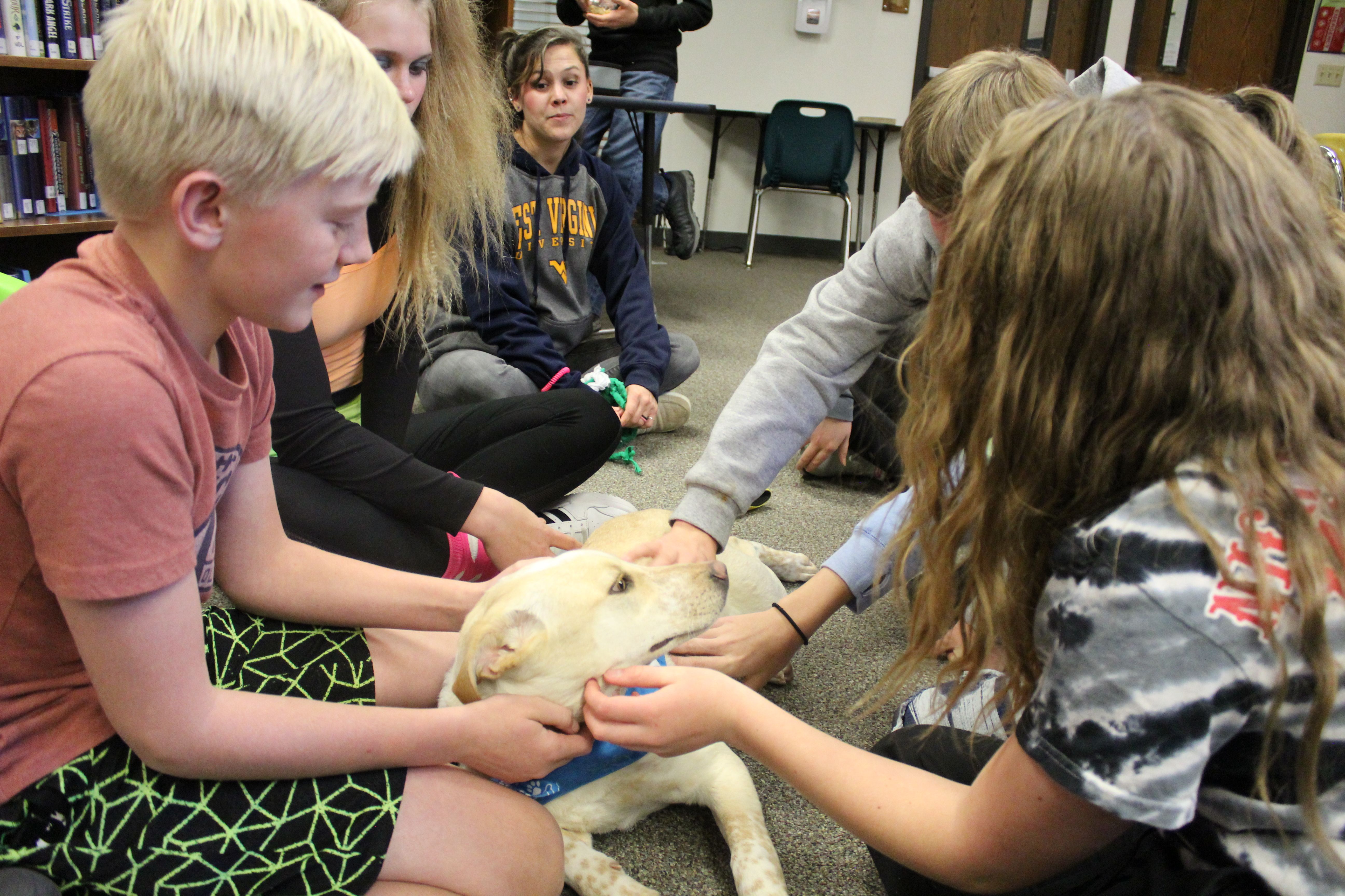 Students playing the dog and cat shelter animals