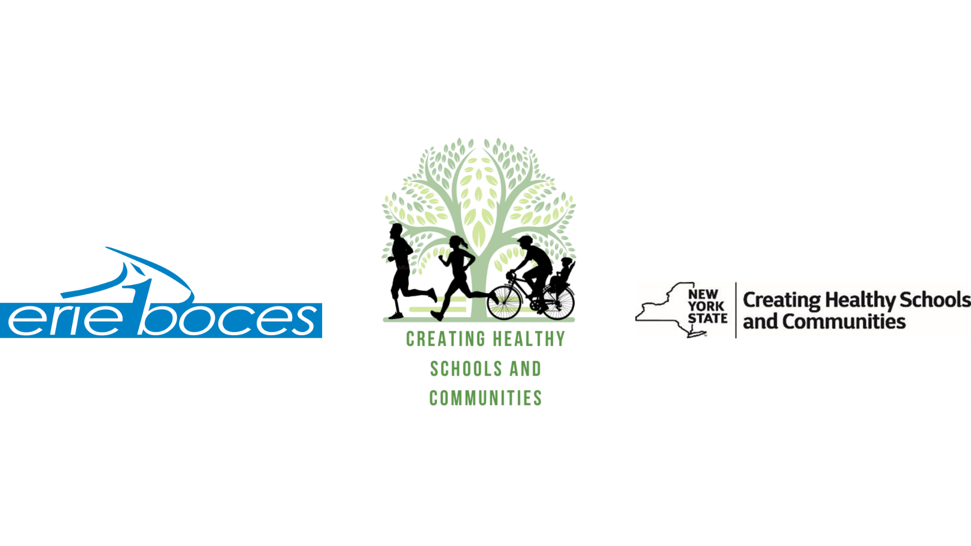 Creating Healthy Schools and Communities logos