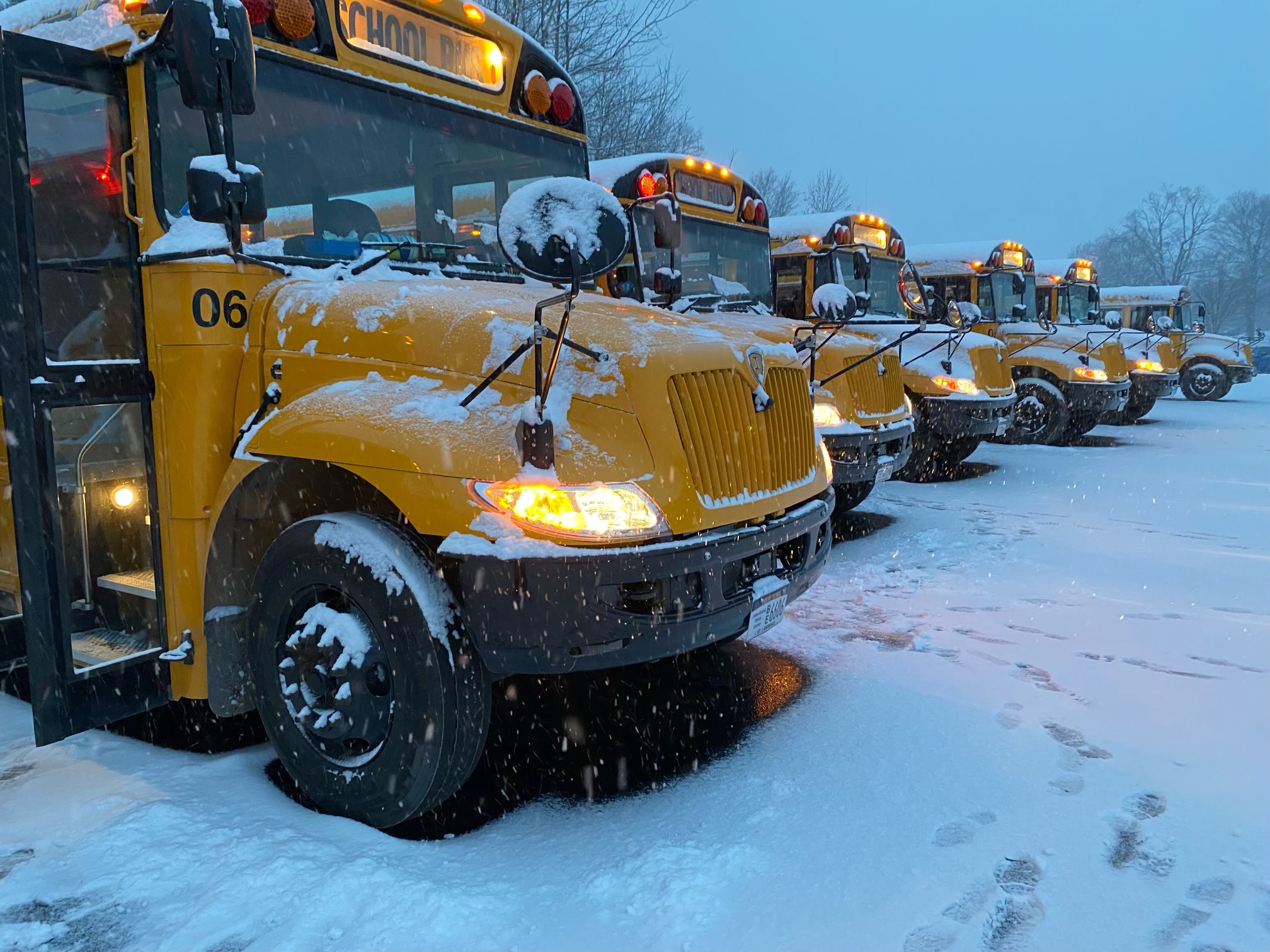 snowy buses