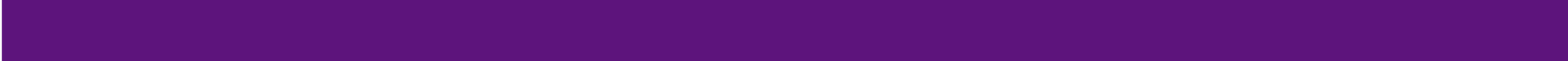 Plain purple page divider graphic