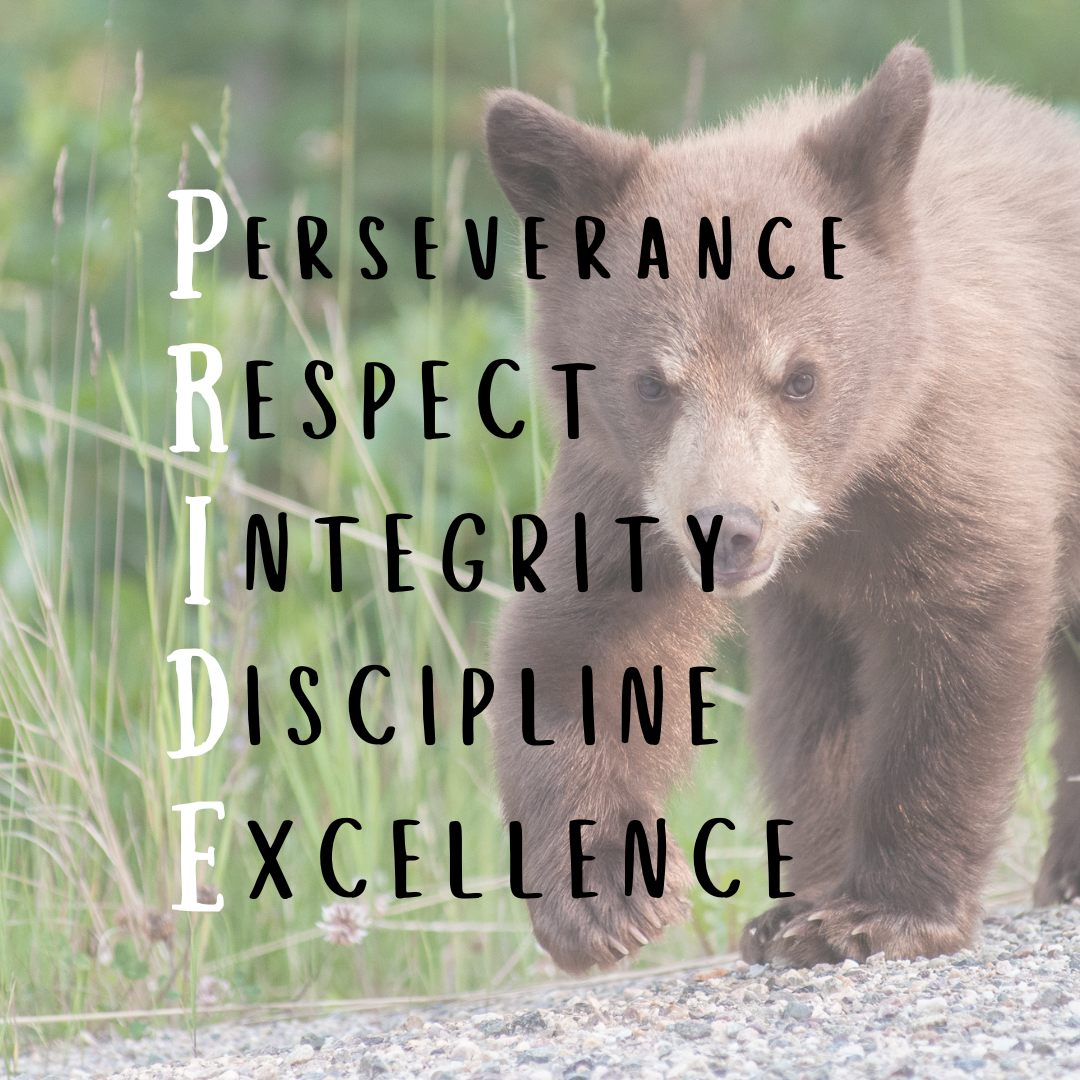 Cub PRIDE - Perseverance, Respect, Integrity, Discipline, Excellence